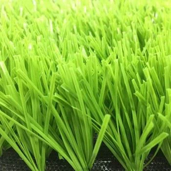 Garden Landscaping Grass