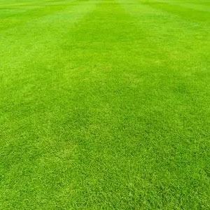 Artificial Grass Sports Flooring Outdoor